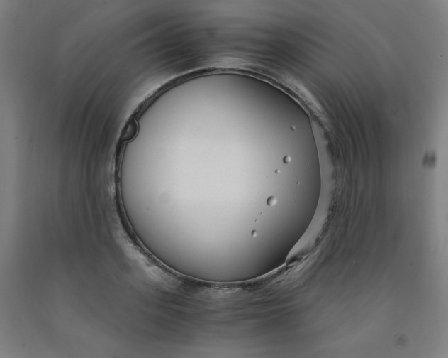 X0000091880939200709261348