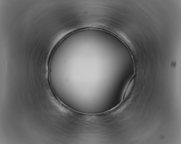 X0000091880940200709261348