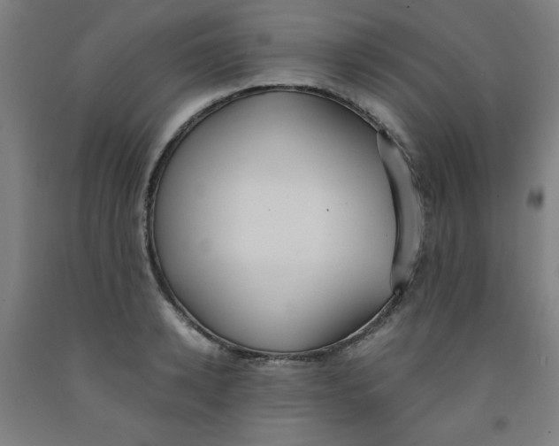 X0000091880942200709261348