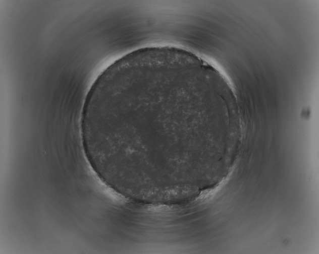 X0000091880943200709261348