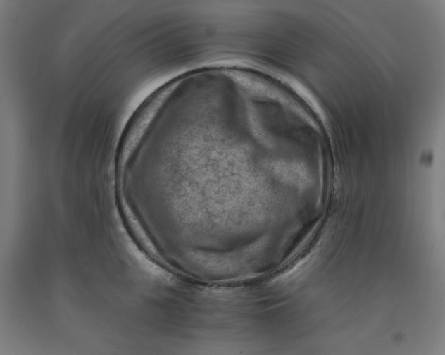 X0000091880951200709261348