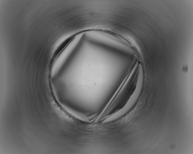 X0000091880952200709261348