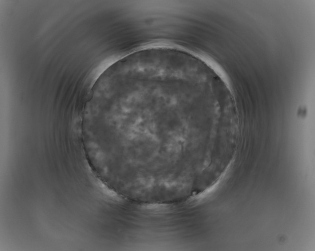 X0000091880953200709261348