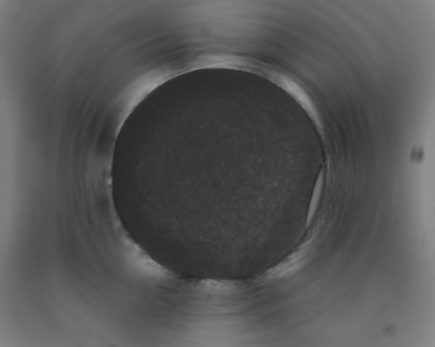 X0000091880954200709261348