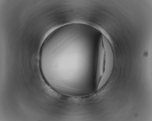 X0000091880955200709261348