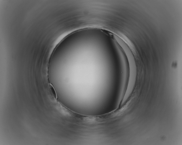 X0000091880956200709261348