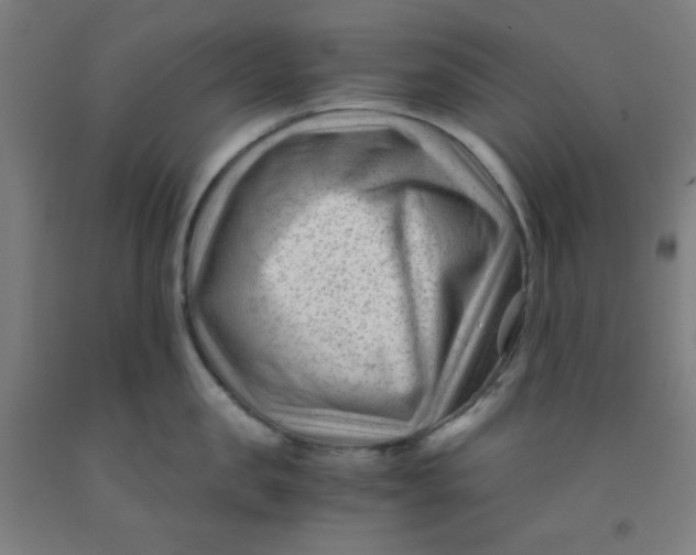 X0000091880957200709261348