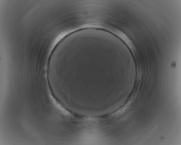 X0000091880958200709261348