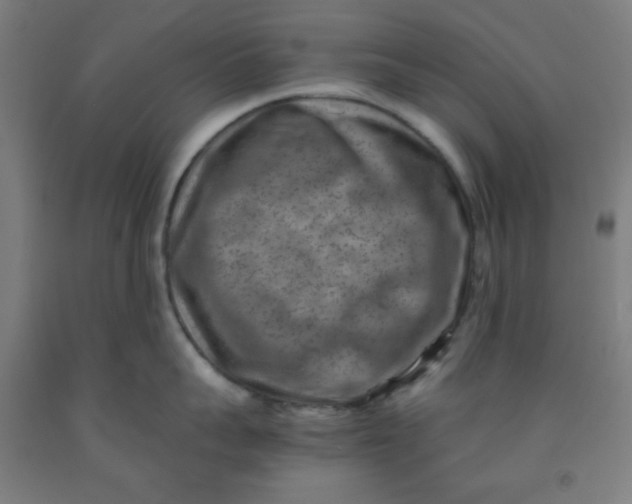 X0000091880959200709261348