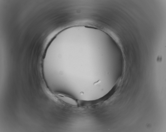 X0000091880960200709261348