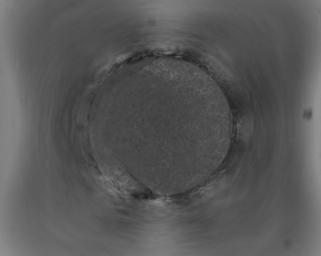 X0000091880961200709261348