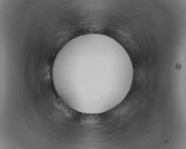 X0000091880962200709261348