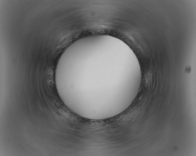 X0000091880964200709261348