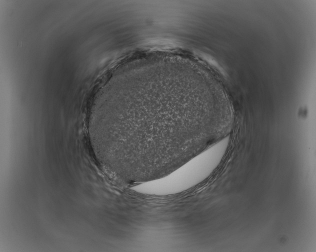 X0000091880965200709261348