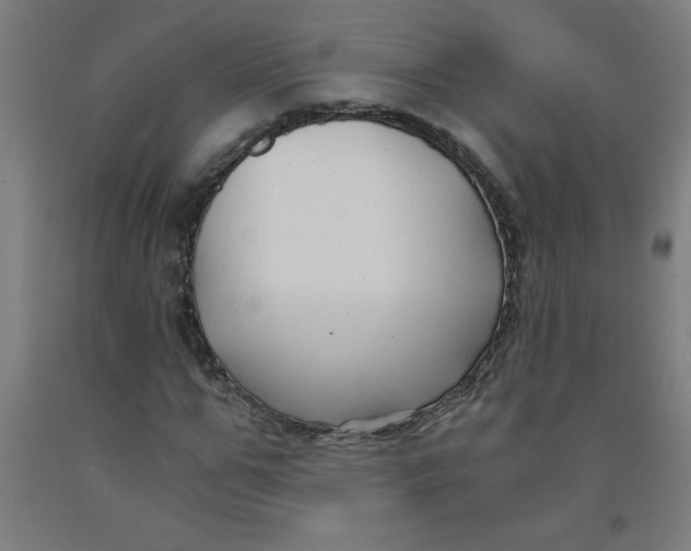 X0000091880967200709261348