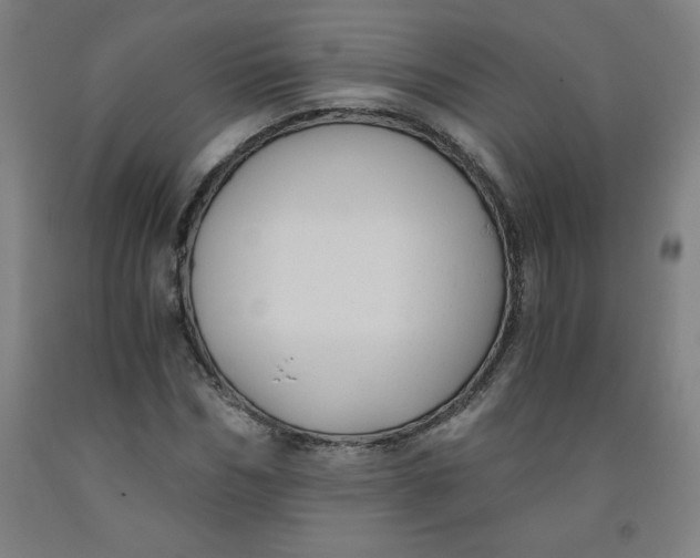 X0000091880970200709261348