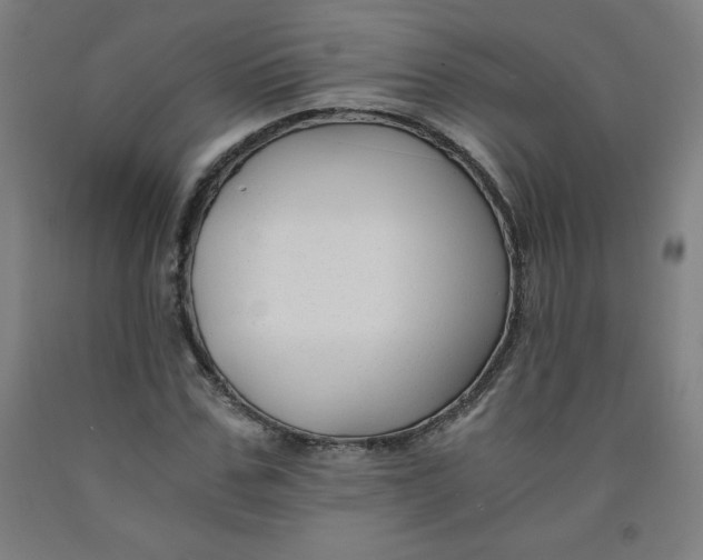 X0000091880971200709261348