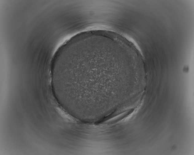 X0000091880973200709261348