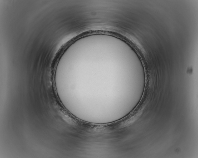 X0000091880974200709261348