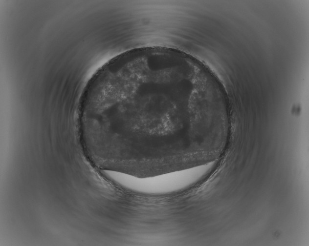 X0000091880975200709261347