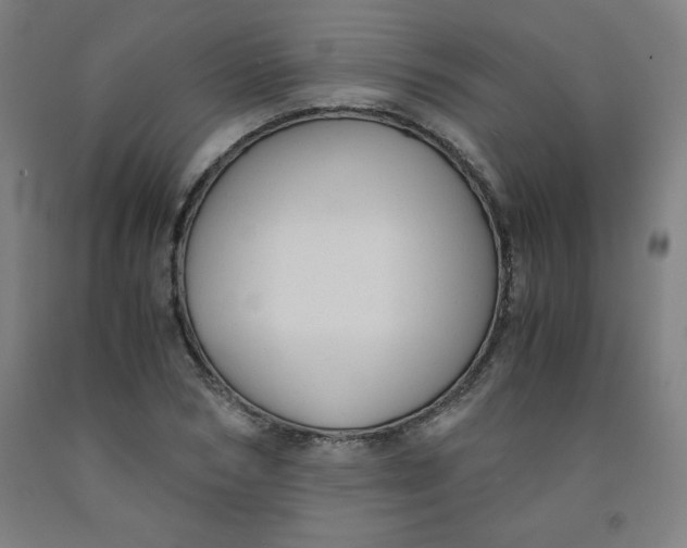 X0000091880978200709261347