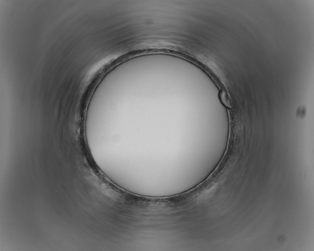 X0000091880979200709261347