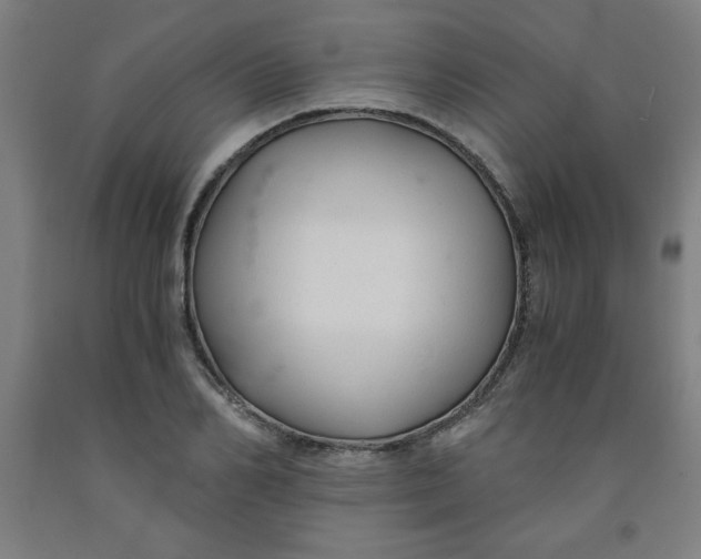 X0000091880982200709261347