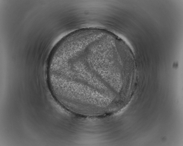 X0000091880983200709261347