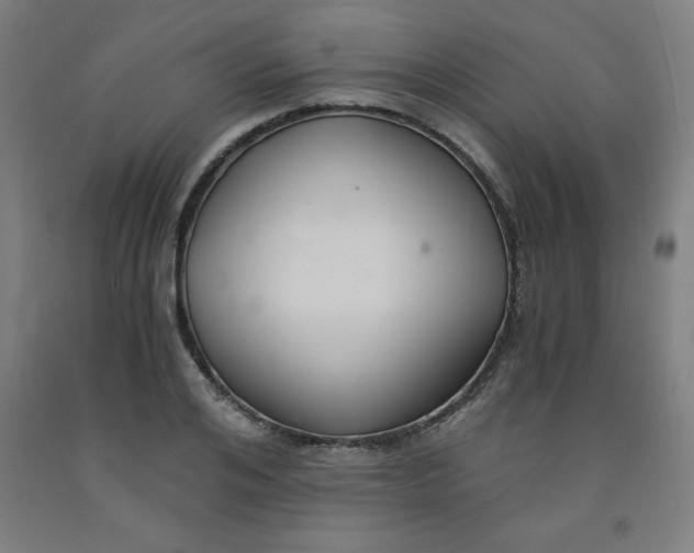 X0000091880984200709261347