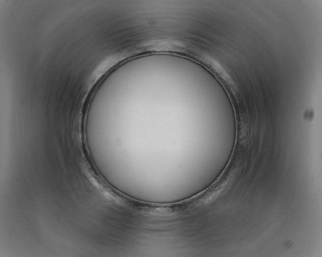 X0000091880986200709261347