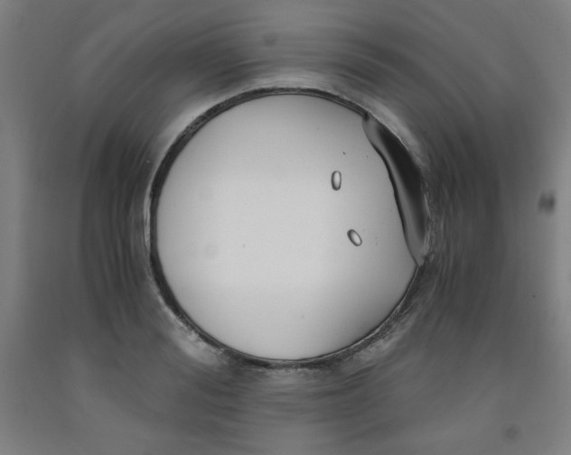 X0000091880988200709261347