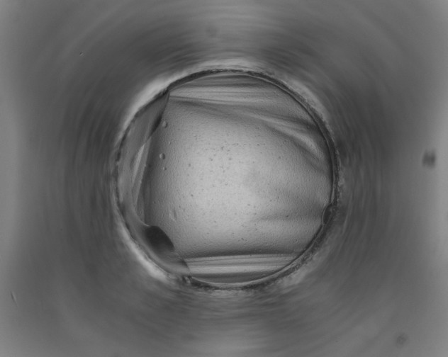 X0000091880989200709261347