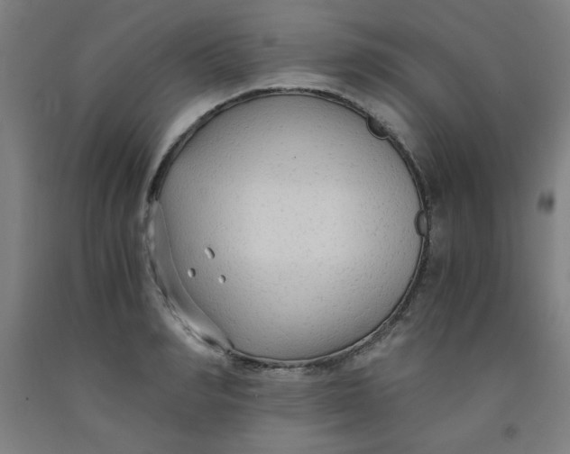 X0000091880990200709261347