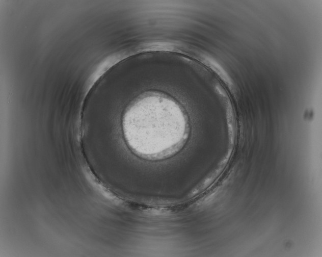 X0000091880994200709261347