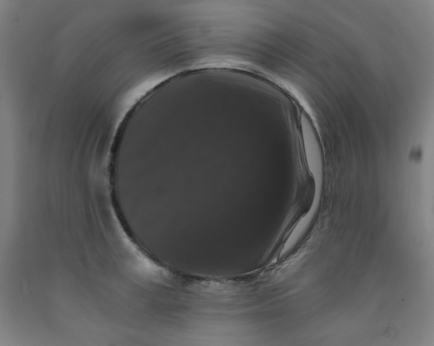 X0000091880995200709261347