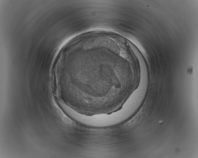 X0000091880996200709261347