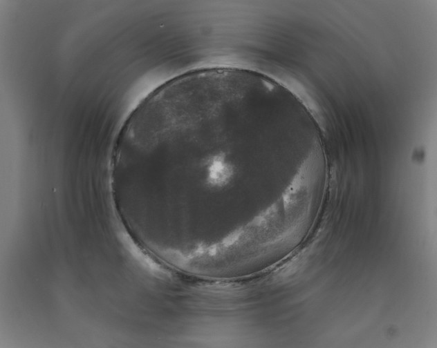 X0000091880998200709261347