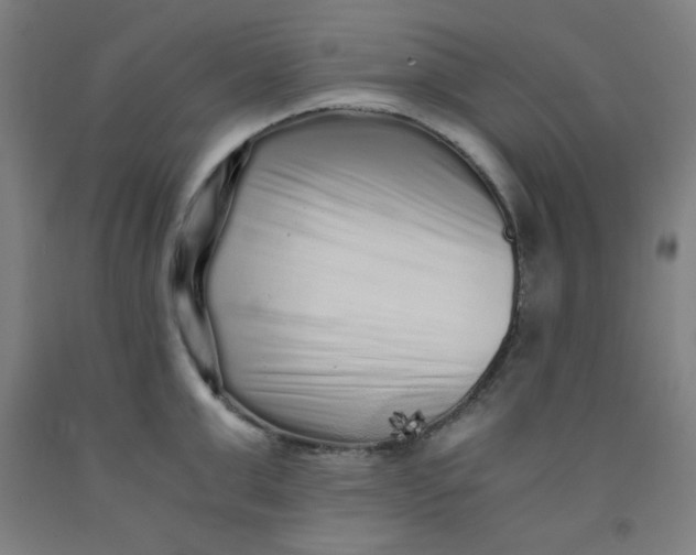 X0000091880999200709261347