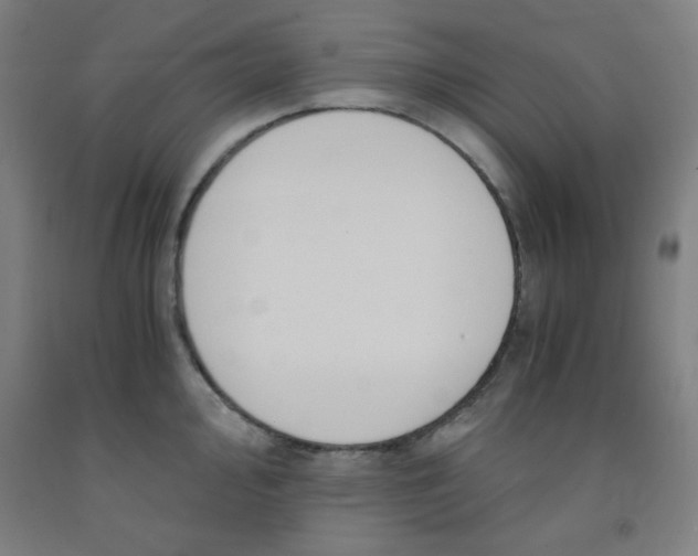 X0000091881000200709261347