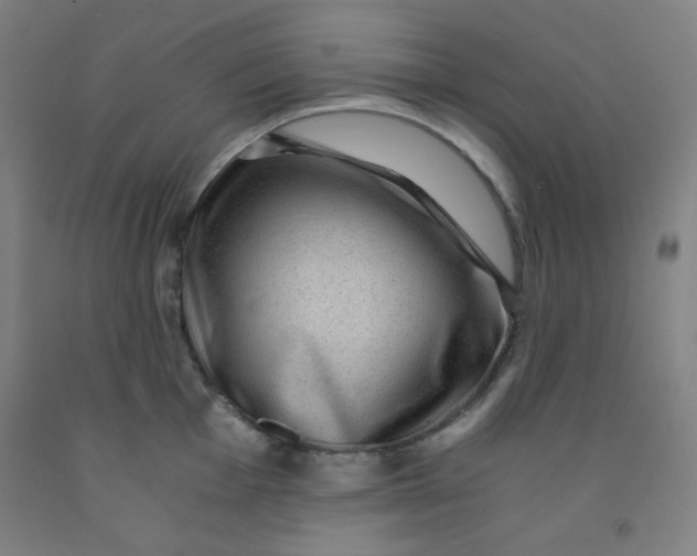 X0000091881001200709261347