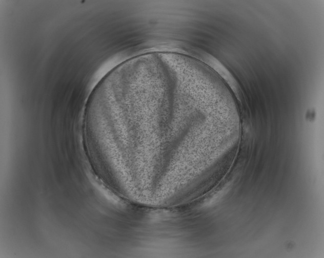 X0000091881002200709261347