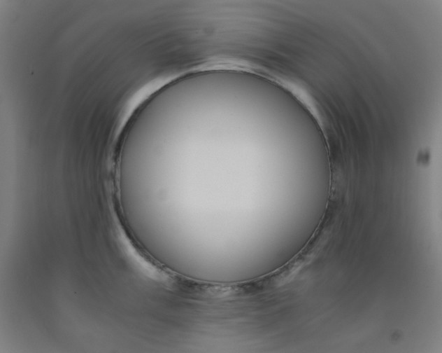 X0000091881003200709261347