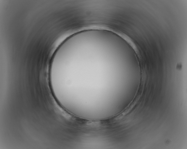 X0000091881006200709261347