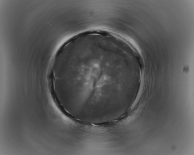 X0000091881007200709261347