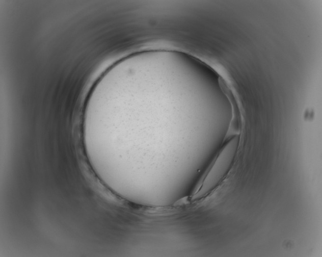 X0000091881008200709261347