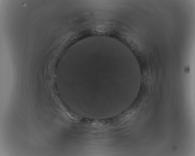 X0000091881009200709261346