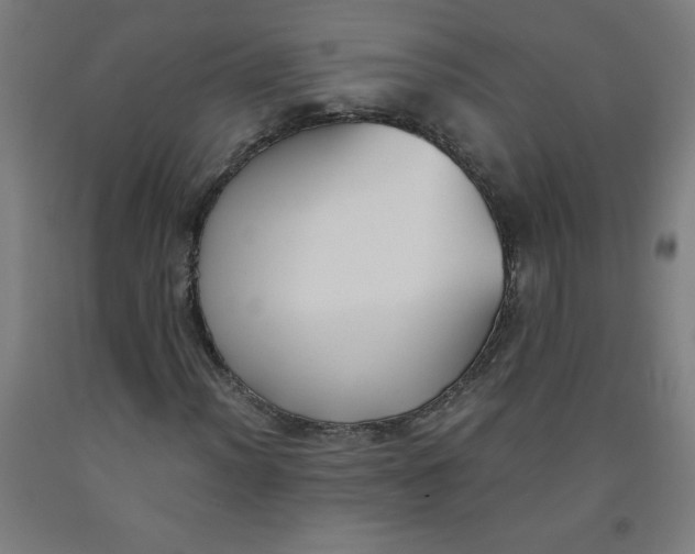 X0000091881012200709261347