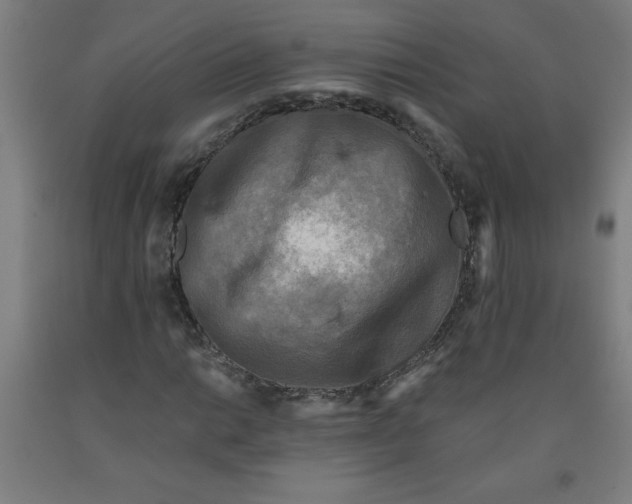 X0000091881014200709261347