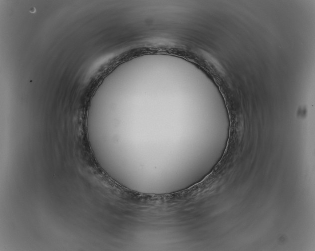 X0000091881016200709261347