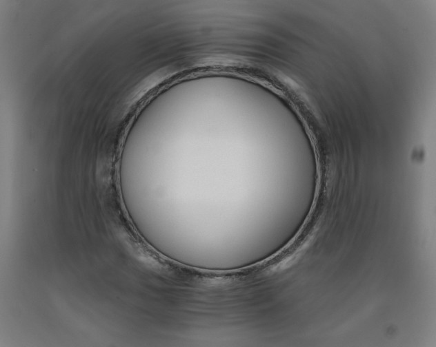 X0000091881017200709261347